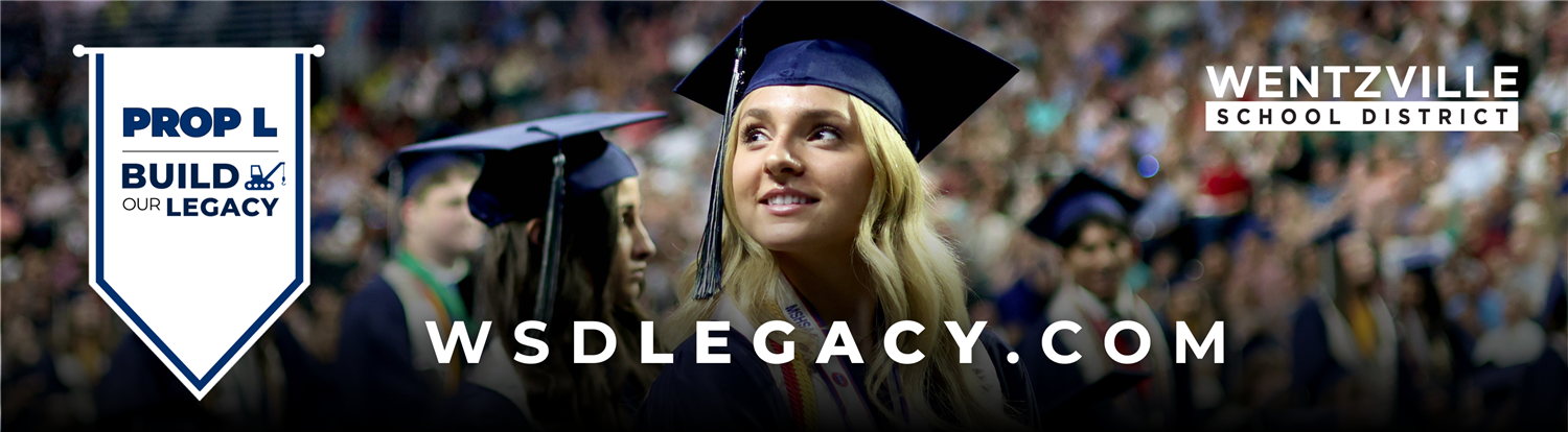 wsdlegacy.com